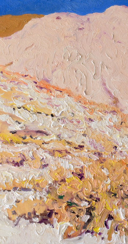 White Desert by Suren Nersisyan