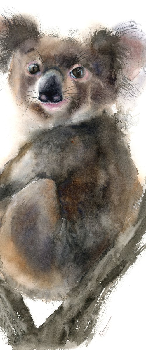 Koala by Olga Tchefranov (Shefranov)