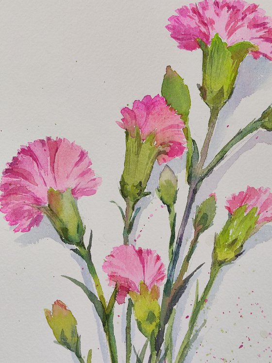 Carnations