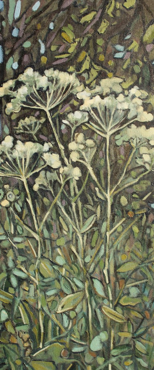 Cow parsley by Joanna Plenzler
