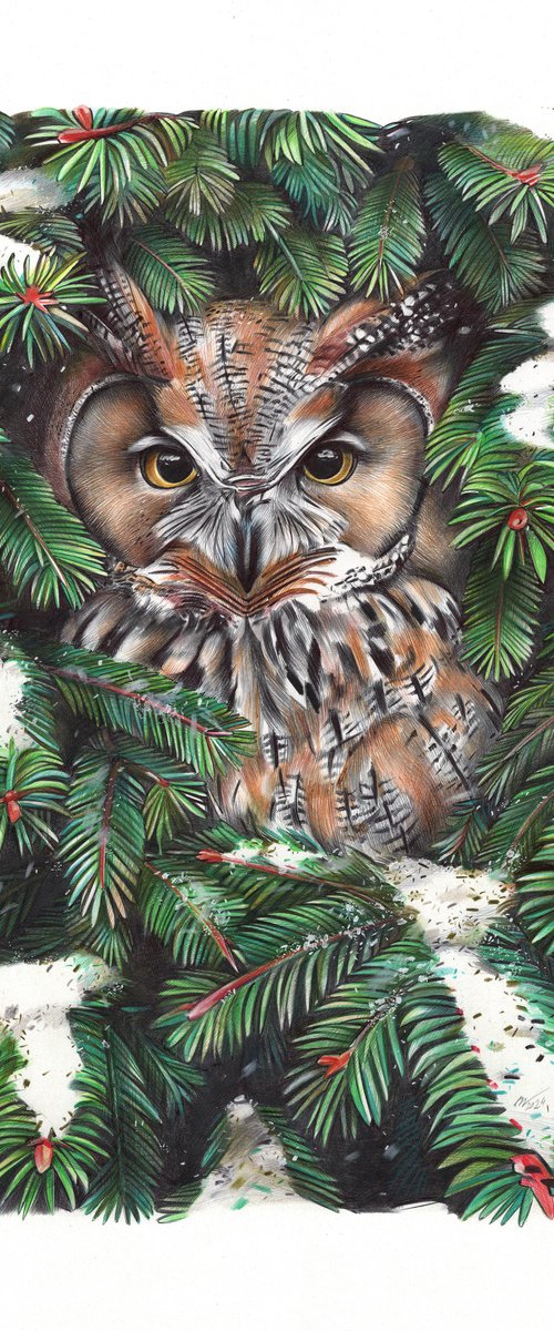 Owl in Spruce Branches by Daria Maier