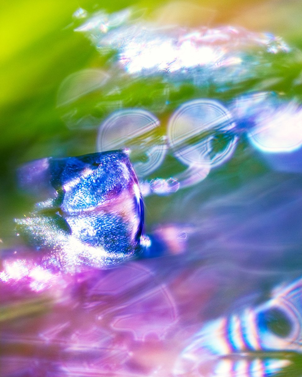 Organic Photograph , The Watcher - Studio Edition By Inna Etuvgi, 17 X 21, Artwork For Sale On Artfinder
