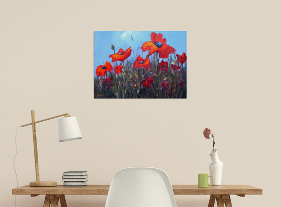 Scarlet Poppies