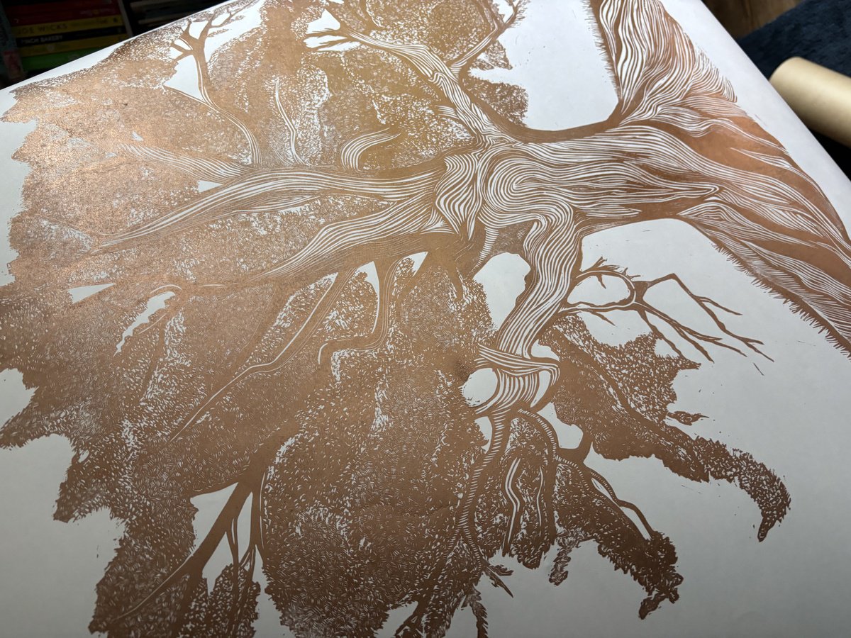 Botanical Linocut By Amy Cundall, 27 X 27, Grand Old Oak Tree Copper, Original Artwork