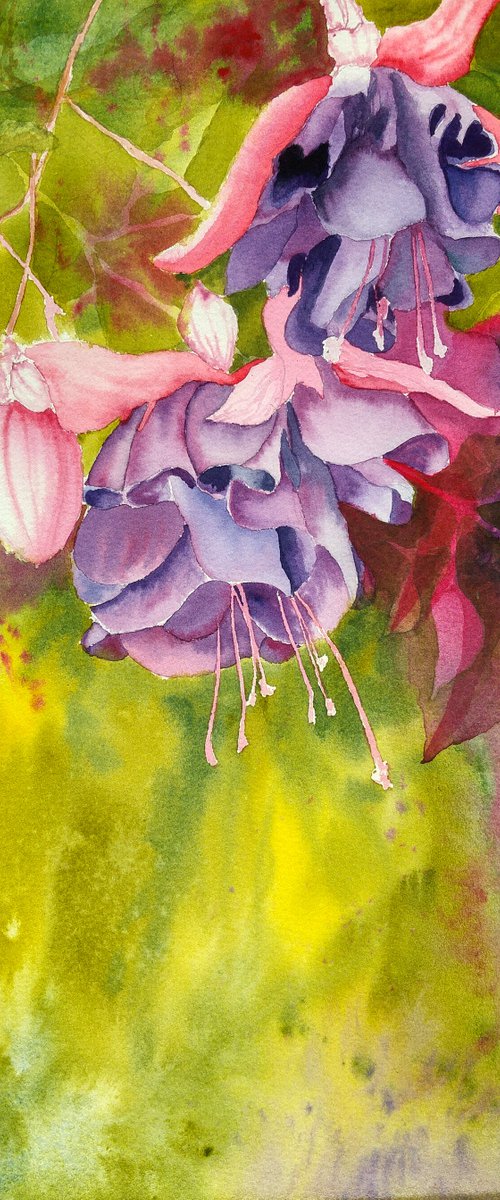 Turkish Delight Fuchsia by Aneta Gajos