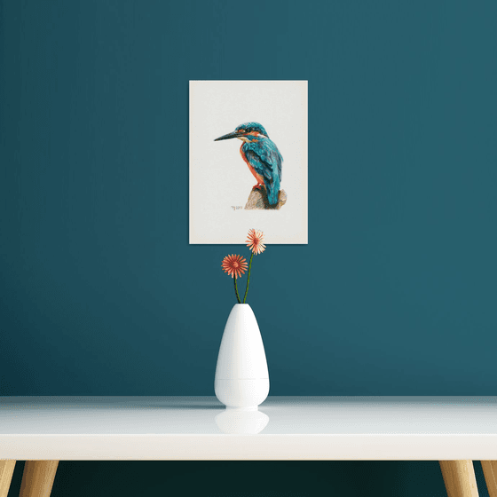 Kingfisher/Bird Series