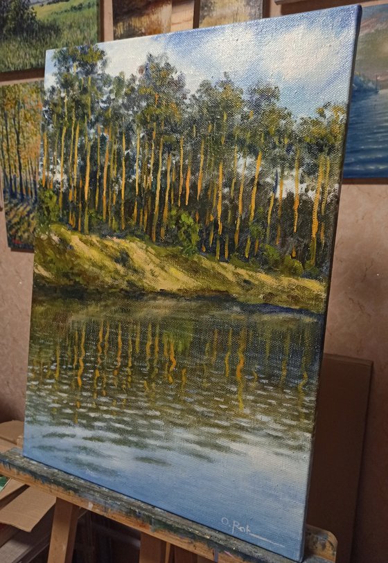 Pine trees by the river 2