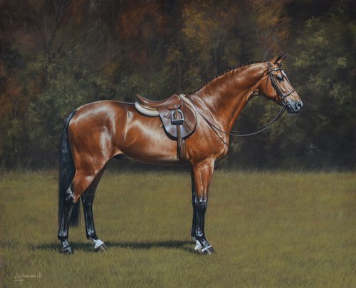 Chestnut stallion by Julia Dubinina