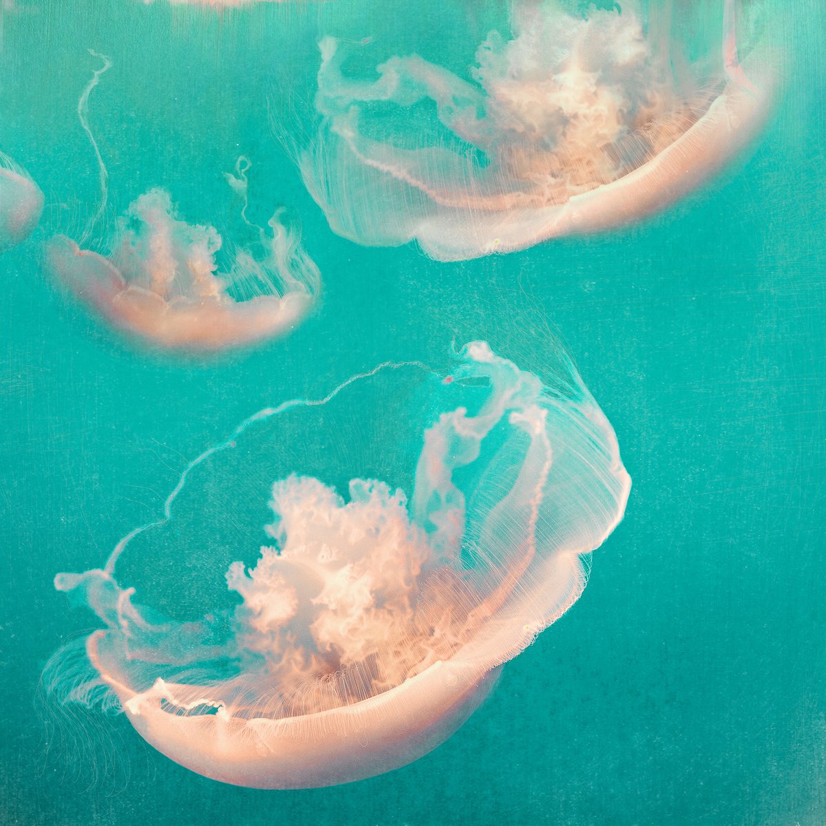 Impressionistic Landscape Photograph By Nadia Attura, 20 X 20", Monterey Cyan, Original Artwork