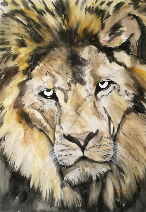 Stately. Watercolour Lion Painting on paper. 42cm x 59.4cm. Free Shipping by Steven Shaw