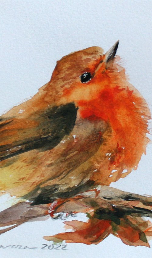 Robin I / FROM THE ANIMAL PORTRAITS SERIES / ORIGINAL WATERCOLOR PAINTING by Salana Art / Svetlana Samovarova