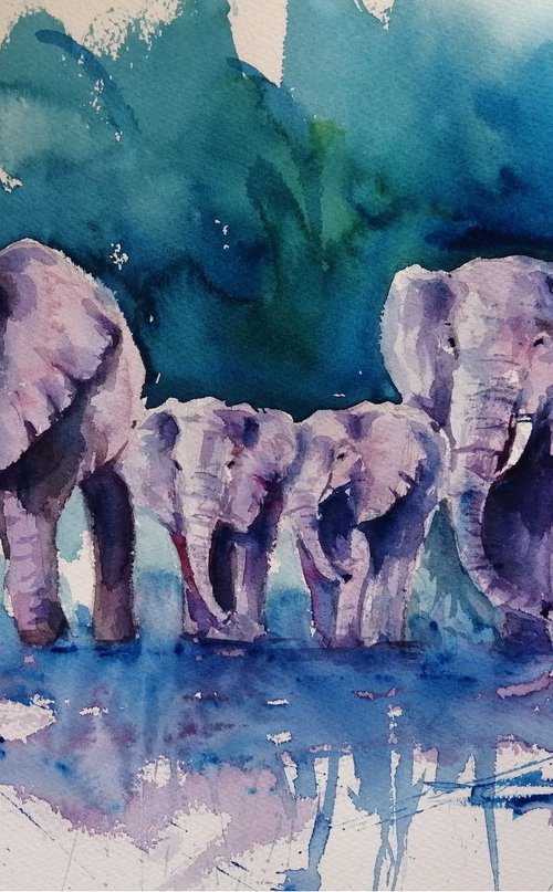elephant 18 by Giorgio Gosti