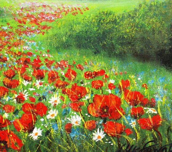 Red poppies and wildflowers