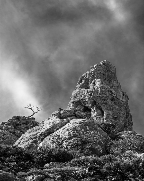 Where Silence Breathes