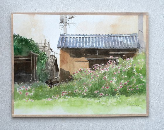 Autumn Cosmos and the Old House