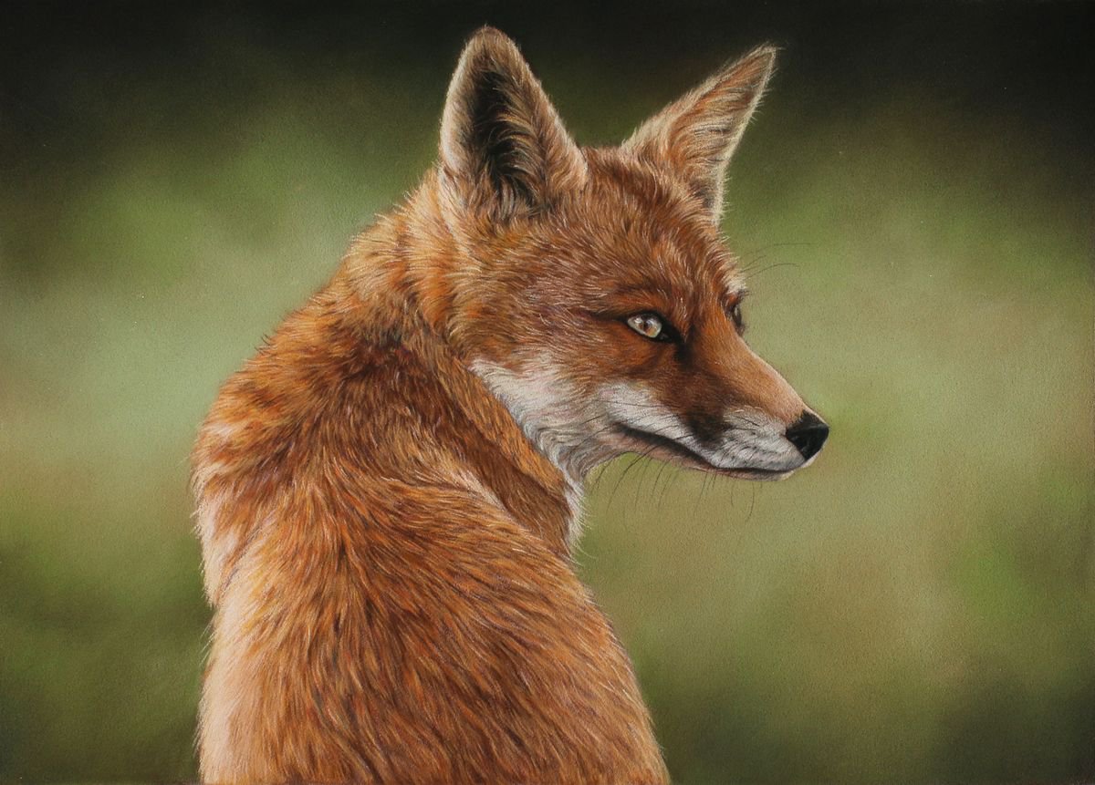 Thinking fox by Tatjana Bril