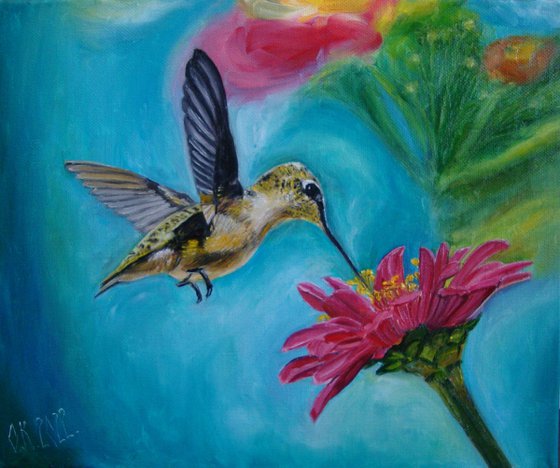 Hummingbird