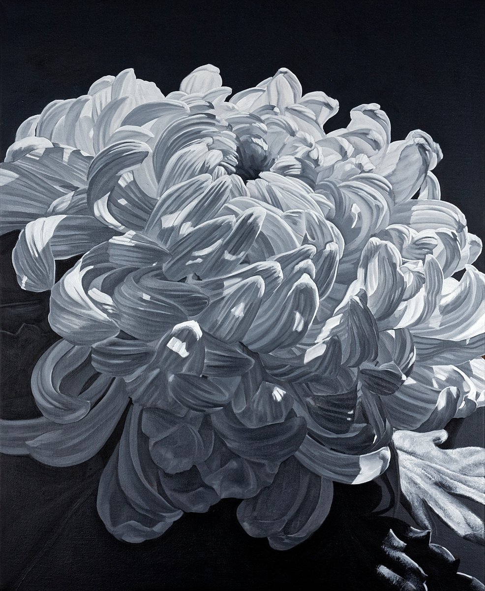 Chrysanthemum by Louis Savage
