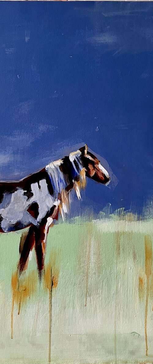 Horse with no Name by Mark Armstrong