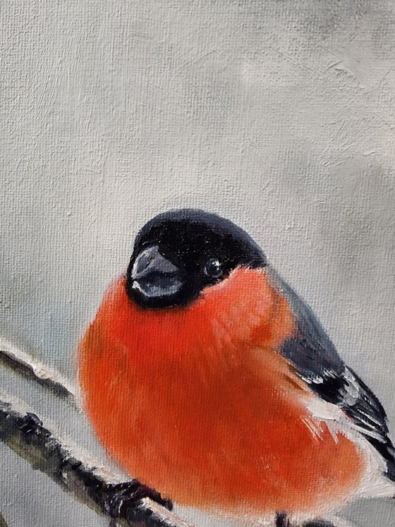 "Winter fire." Bullfinch birds 2021