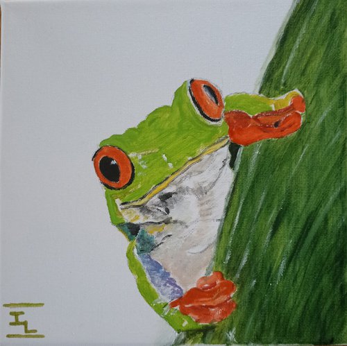 Hello Froggy frog by Isabelle Lucas