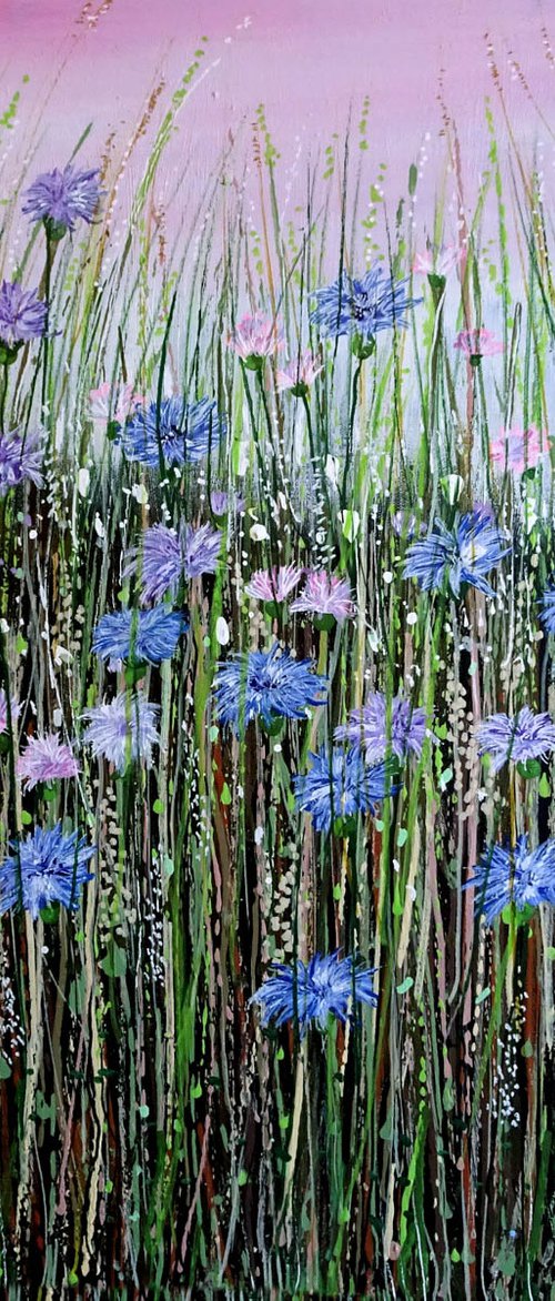 Wildflower Meadow  17 by Roz Edwards