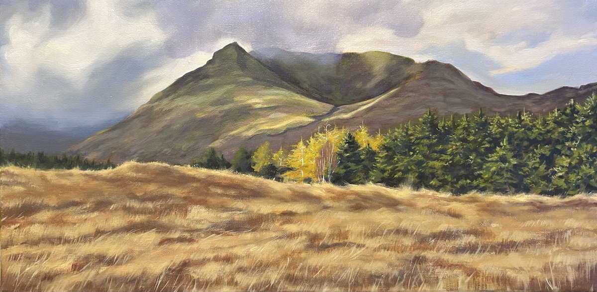 Photorealistic Landscape Oil Painting By Alina Karpova, 16 X 8, Mountain View , Co. Mayo Landscape, Original Artwork