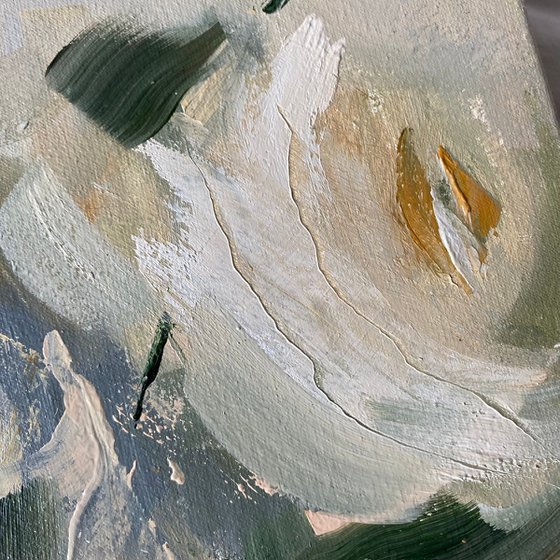 Morning roses
