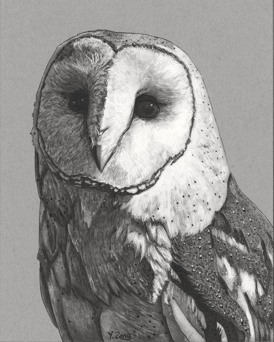 Barn owl ink