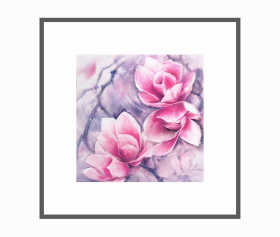 Magnolia blooming, pink flowers watercolor painting