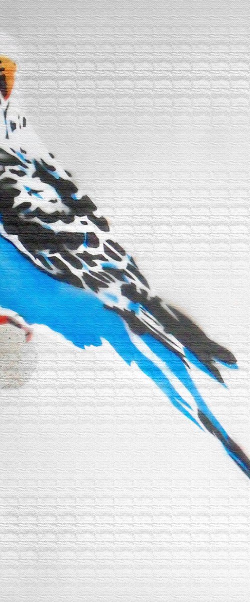 GRANDMA'S BUDGIE (BC). by Juan Sly