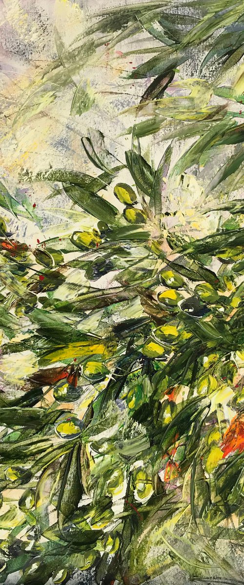 Green Olives by Diana Malivani