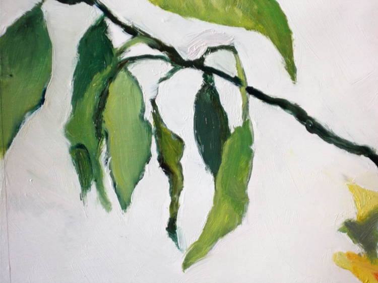 Avocado Leaves No 2 By Ann Cameron Mcdonald Artfinder