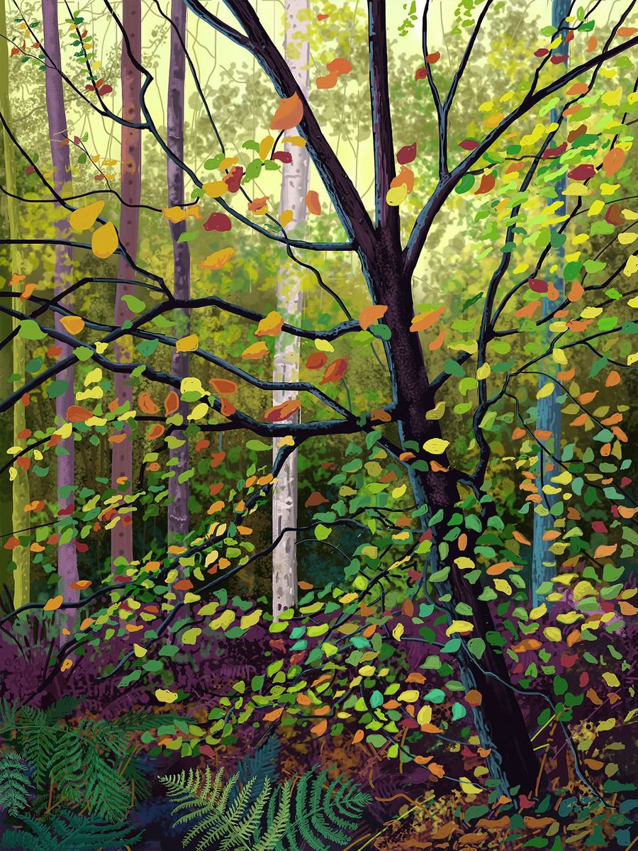Autumn birch, Yearsley by Jeff Parker