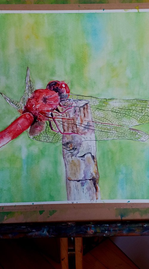 DRAGONFLY by Zoran Mihajlović Muza