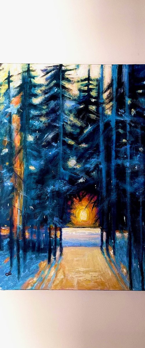 Embers of a Winter heart by Cristina Mihailescu