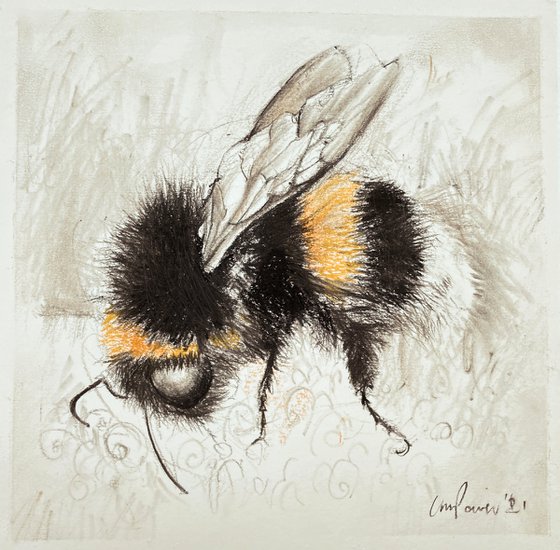 Charcoal Bumblebee #03