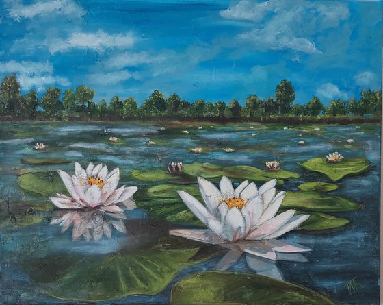 Lily Pond