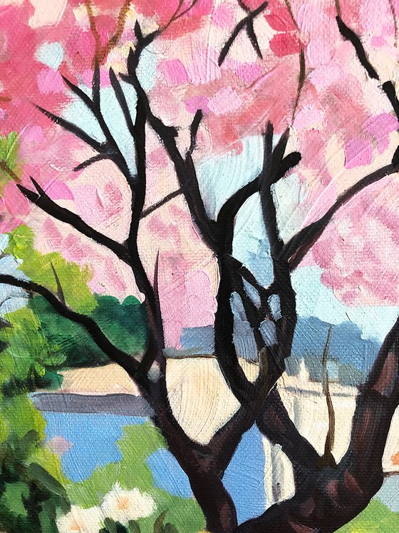 Mediterranean Terrace in Bloom