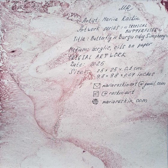 Butterfly «Burgundy Simphony»