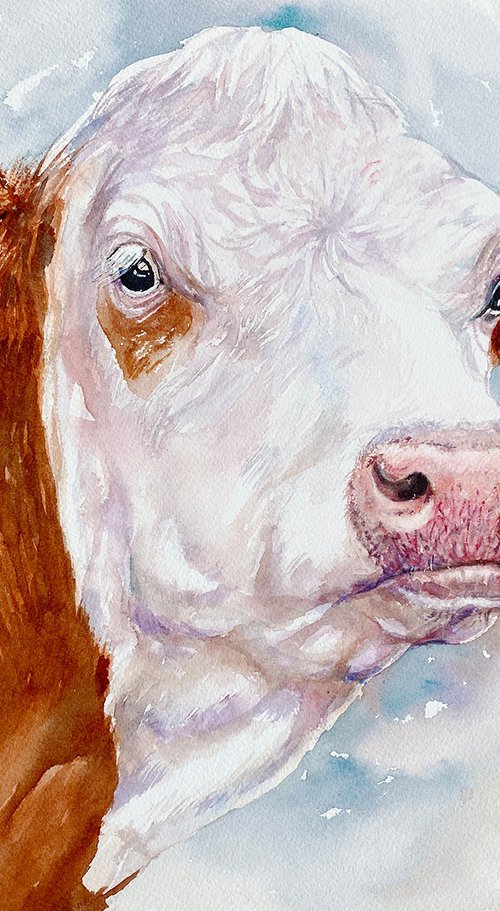 Hereford Cow _Hetty by Arti Chauhan