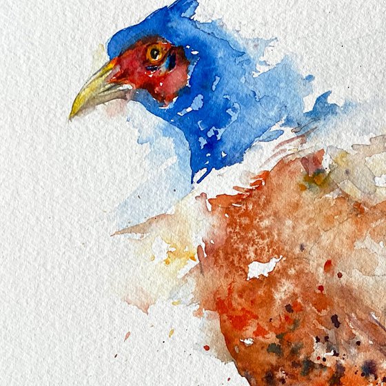 Run for it _ Pheasant