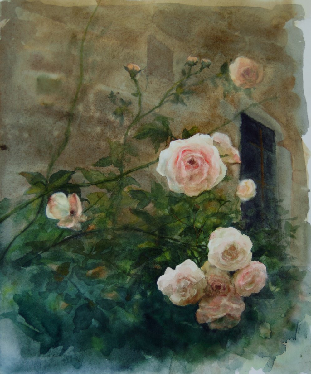 Roses and Stones - watercolor roses - floral - garden - flowers by Olga Beliaeva Watercolour