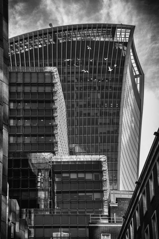 Walkie Talkie building with seagulls