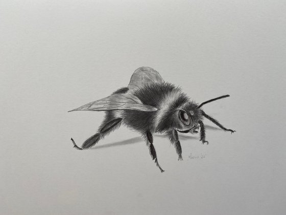 Bee