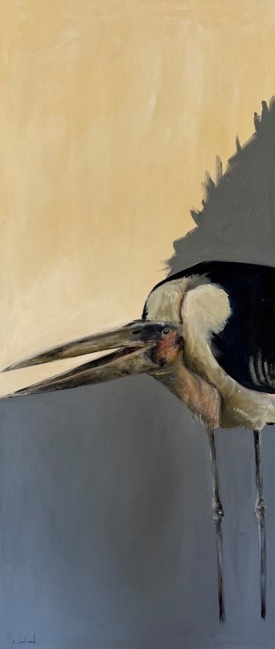 Lucy the Marabou Stork