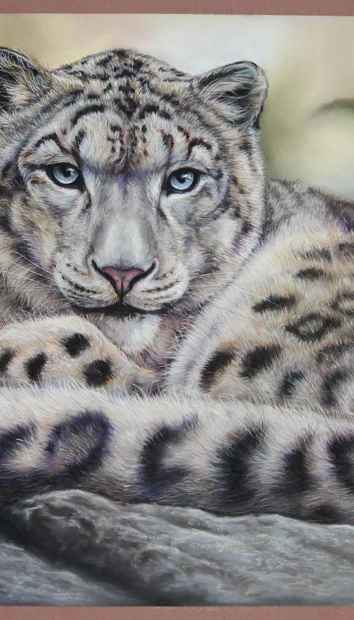 Snow leopard by Tatjana Bril