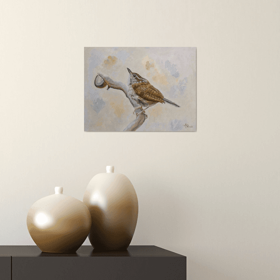 Carolina Wren