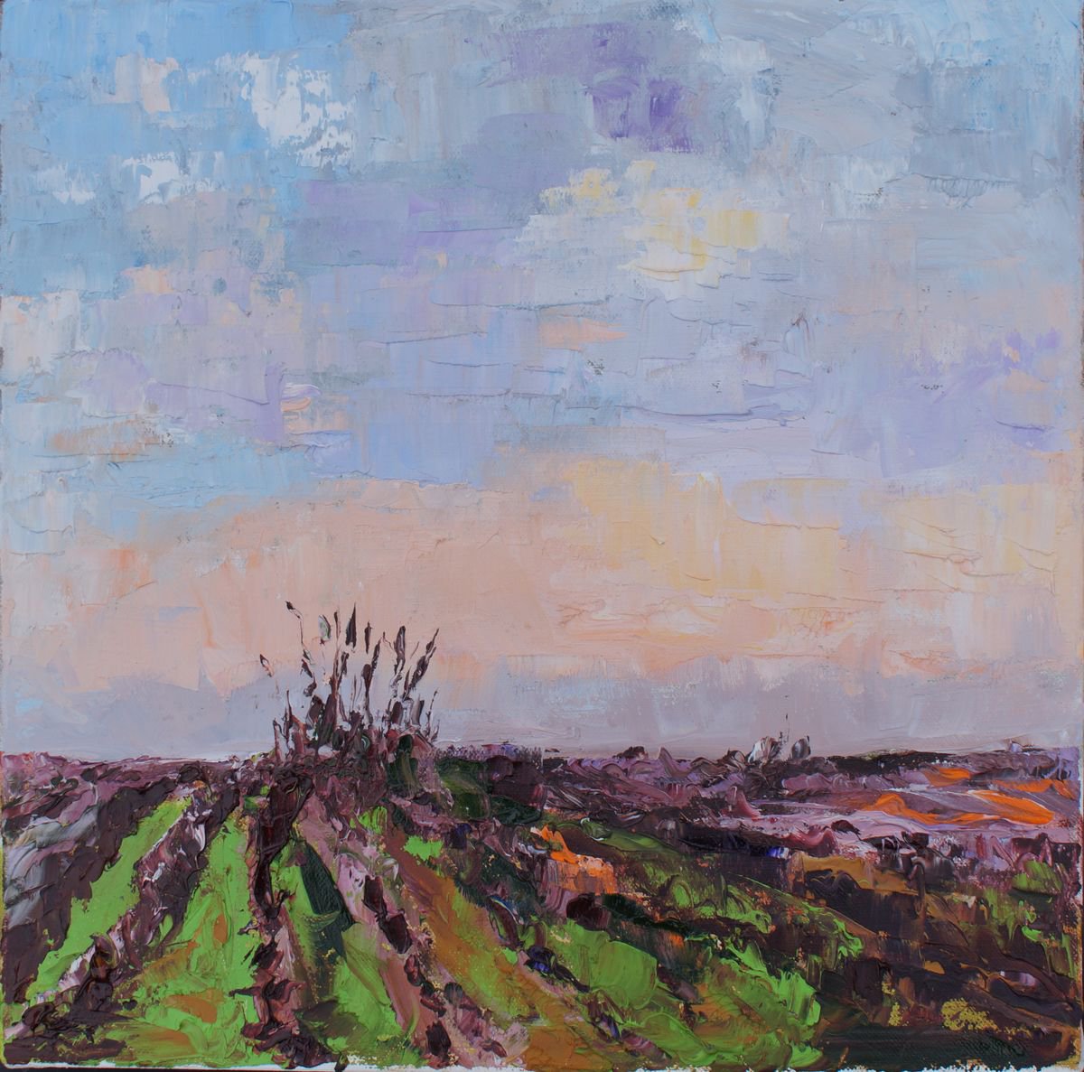 Winter Vines late afternoon sky by Ann Palmer