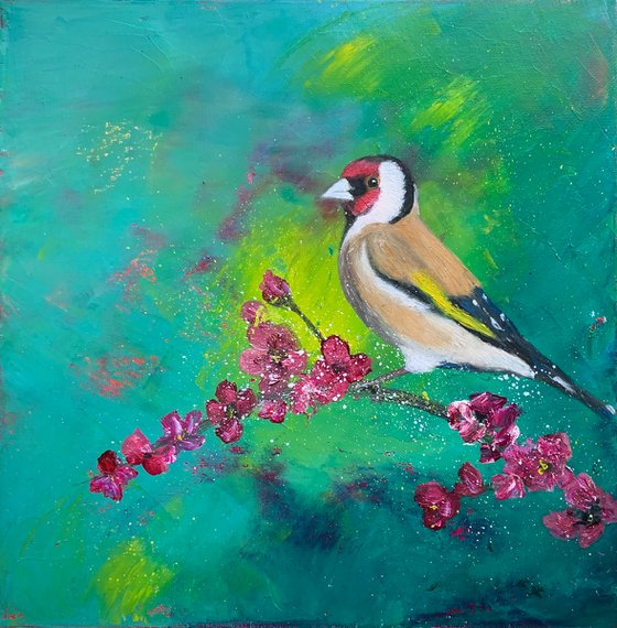 Goldfinch on blossom